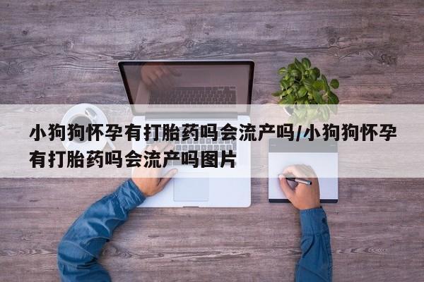 私人卖打胎药微信号小狗狗怀孕有打胎药吗会流产吗/小狗狗怀孕有打胎药吗会流产吗图片