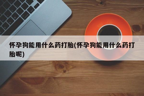私人卖打胎药微信号怀孕狗能用什么药打胎(怀孕狗能用什么药打胎呢)